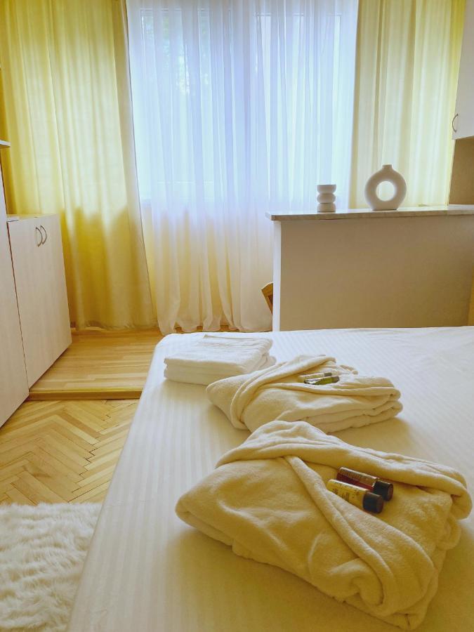 Timisoara Central Apartament Daire Dış mekan fotoğraf