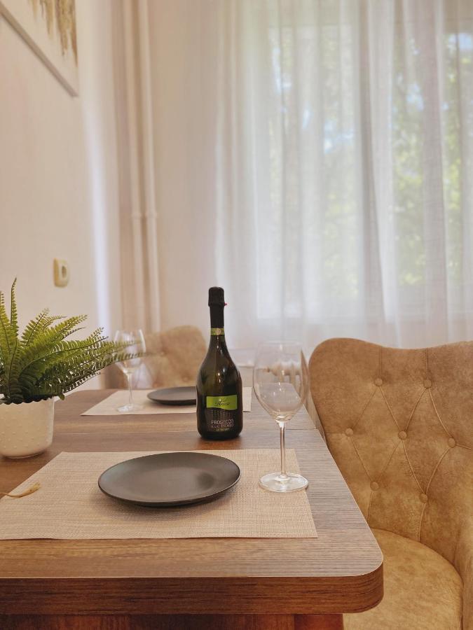 Timisoara Central Apartament Daire Dış mekan fotoğraf