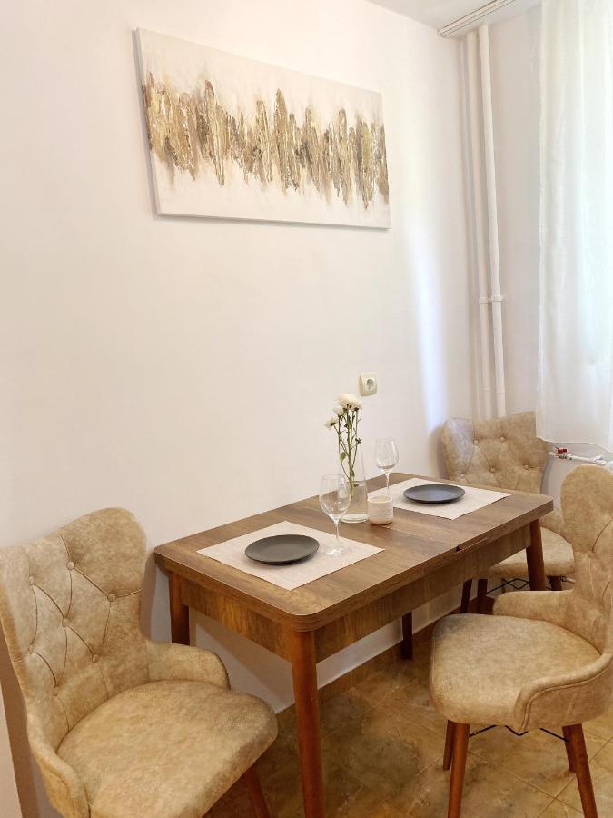 Timisoara Central Apartament Daire Dış mekan fotoğraf