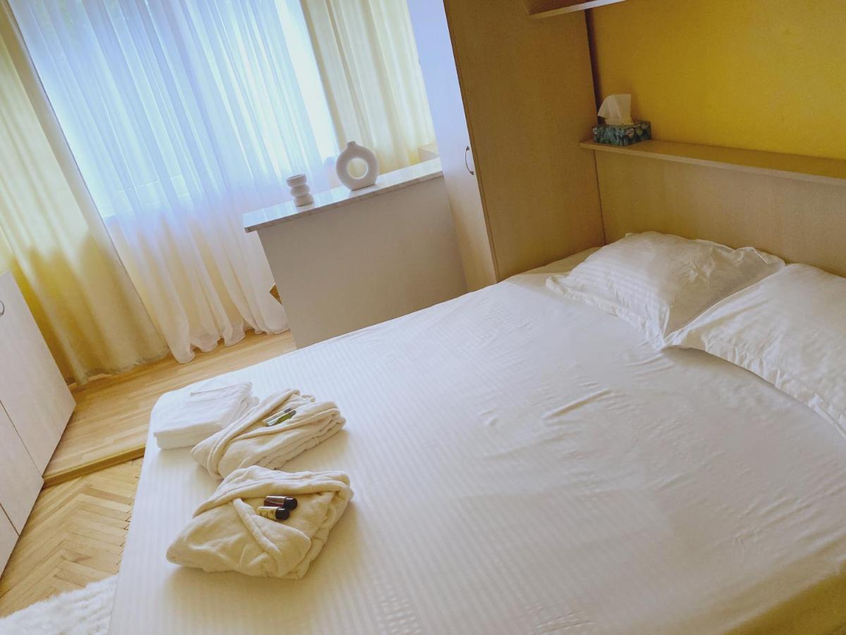 Timisoara Central Apartament Daire Dış mekan fotoğraf